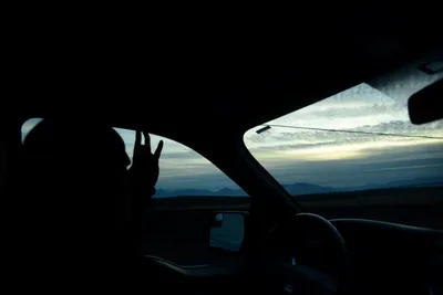 DSC_3117 (Large).JPG